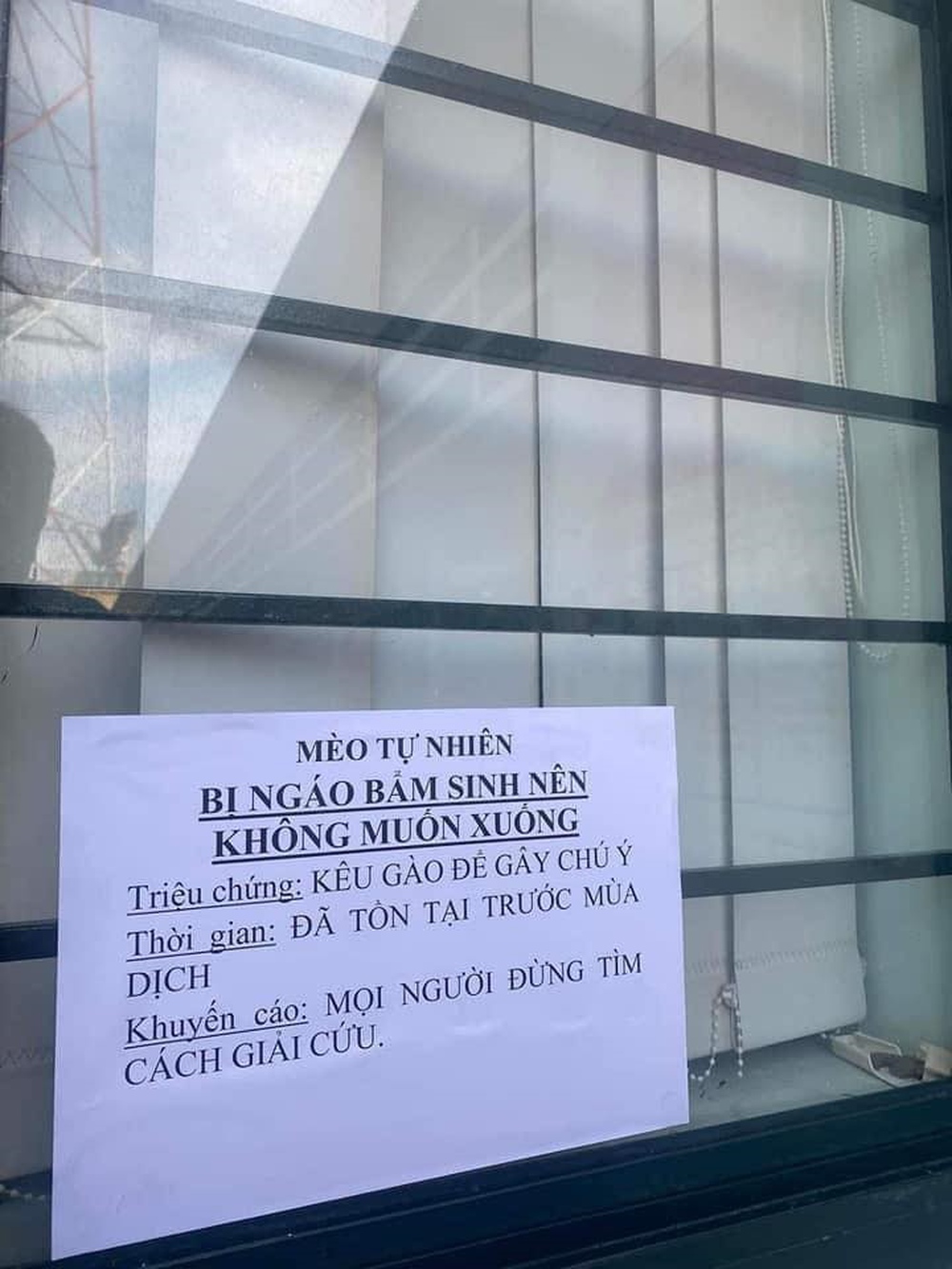 Bật cười trước những thông báo mặn hơn nước biển ai cũng phải ngoái nhìn - Ảnh 5.