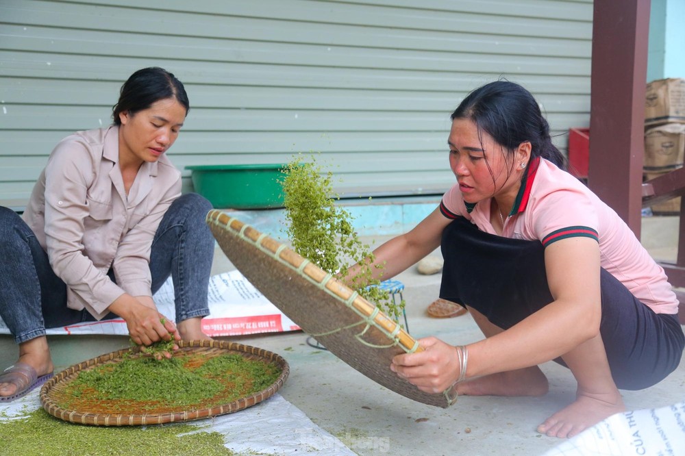 Xem cách làm cốm Tú Lệ của đồng bào Thái - Ảnh 5.