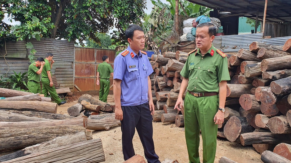 Ngỡ ngàng với những phát hiện tại Công ty Phương Tây Nguyên - Ảnh 2.