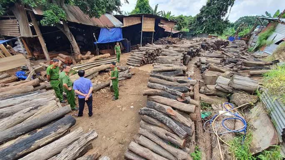 Ngỡ ngàng với những phát hiện tại Công ty Phương Tây Nguyên - Ảnh 1.