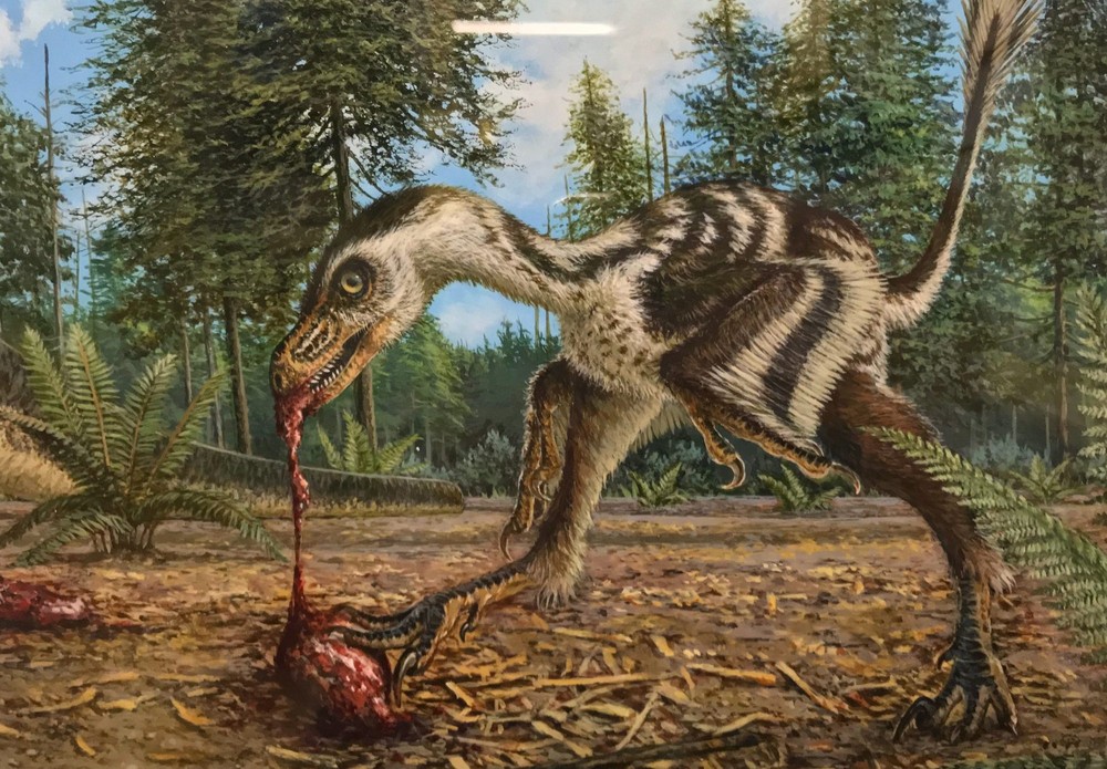 Những loài khủng long ăn thịt độc, lạ - Ảnh 7.