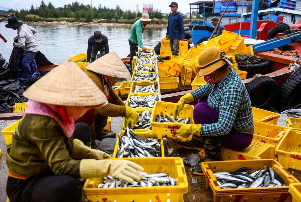 Báo Thái Lan: Việt Nam là điểm sáng kinh tế hiếm hoi giữa những bất định trên toàn cầu - Ảnh 3.