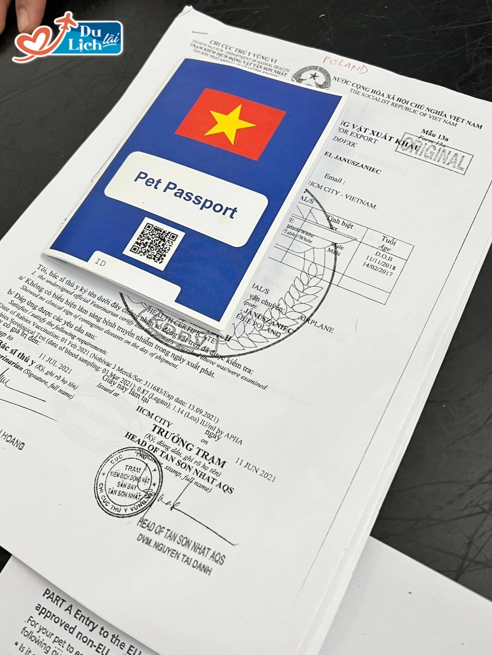 Trải lòng cô gái Việt chi tiền khủng đưa chó cưng lên máy bay đi châu Âu