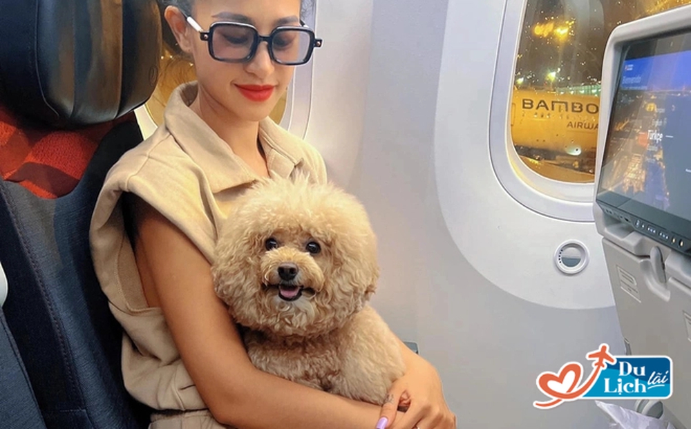 Trải lòng cô gái Việt chi tiền khủng đưa chó cưng lên máy bay đi châu Âu