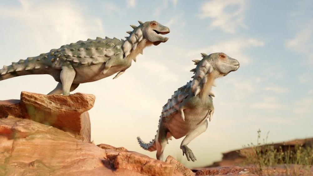 Bất ngờ phát hiện một loài khủng long hoàn toàn mới tại Argentina - Ảnh 1.