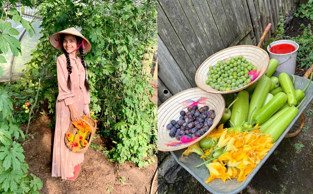 Mẹ Việt ở Đức về ngoại ô sống, làm farmstay gần 1ha, trồng rau quê bán cho người bản địa