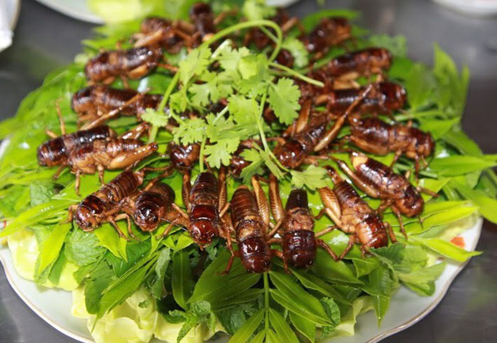 Cá gỏi kiến vàng và dế chiên Kon Tum lọt Top 100 đặc sản của Việt Nam - Ảnh 3.