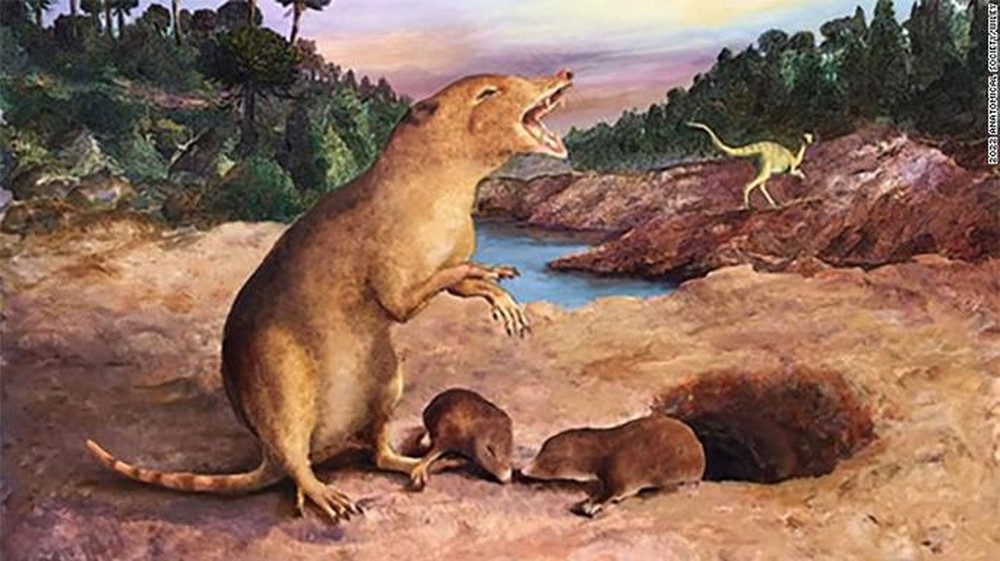 Phát hiện hài cốt vị tổ tiên đầu thời khủng long của chúng ta - Ảnh 1.