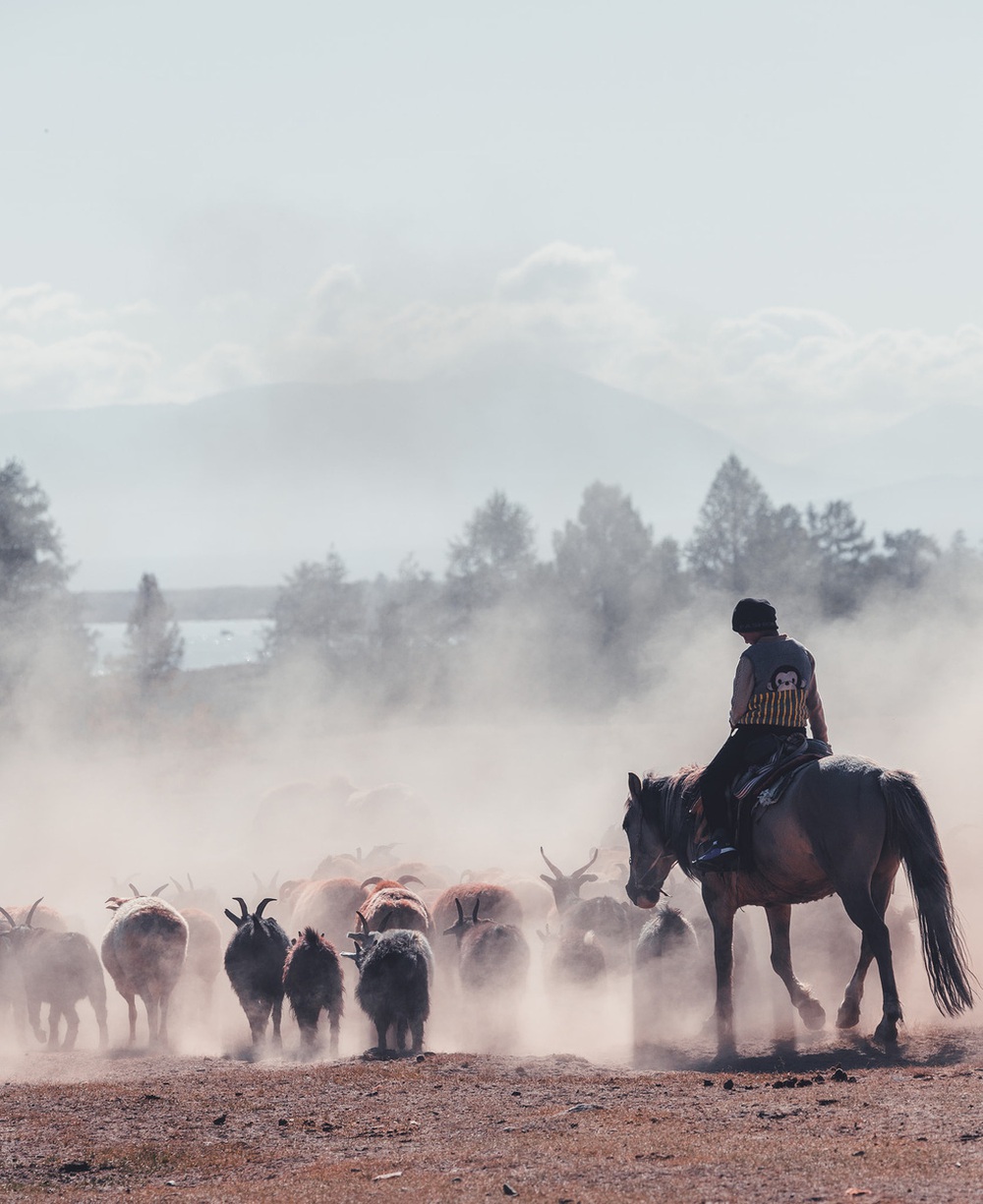 Du khách Việt theo chân người du mục trên thảo nguyên Mông Cổ - Ảnh 19.