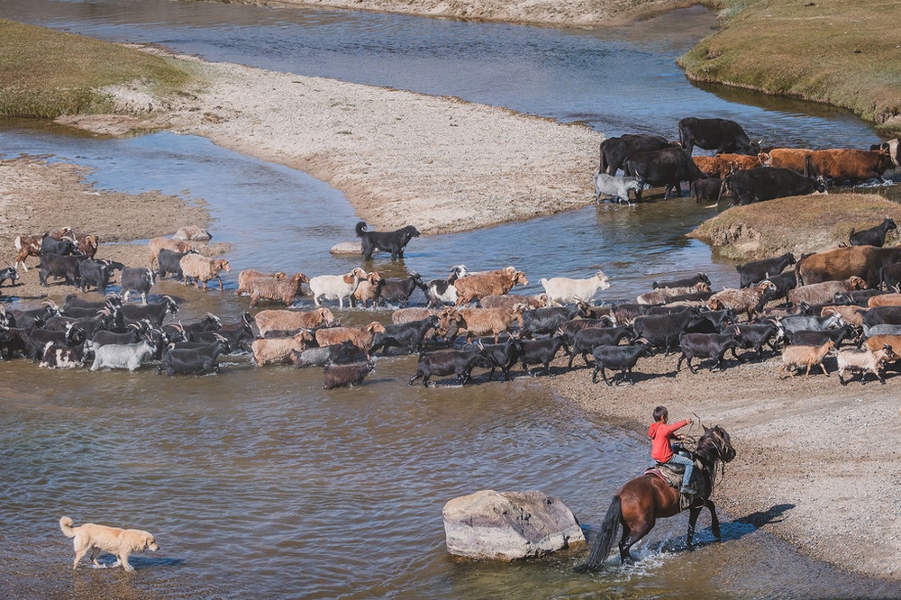 Du khách Việt theo chân người du mục trên thảo nguyên Mông Cổ - Ảnh 20.