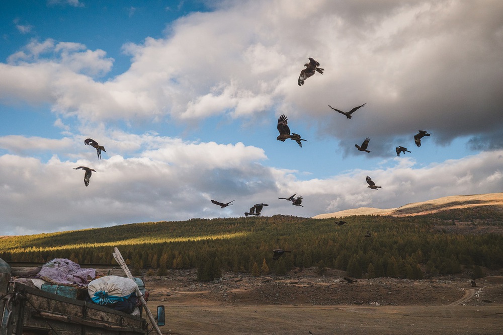 Du khách Việt theo chân người du mục trên thảo nguyên Mông Cổ - Ảnh 25.