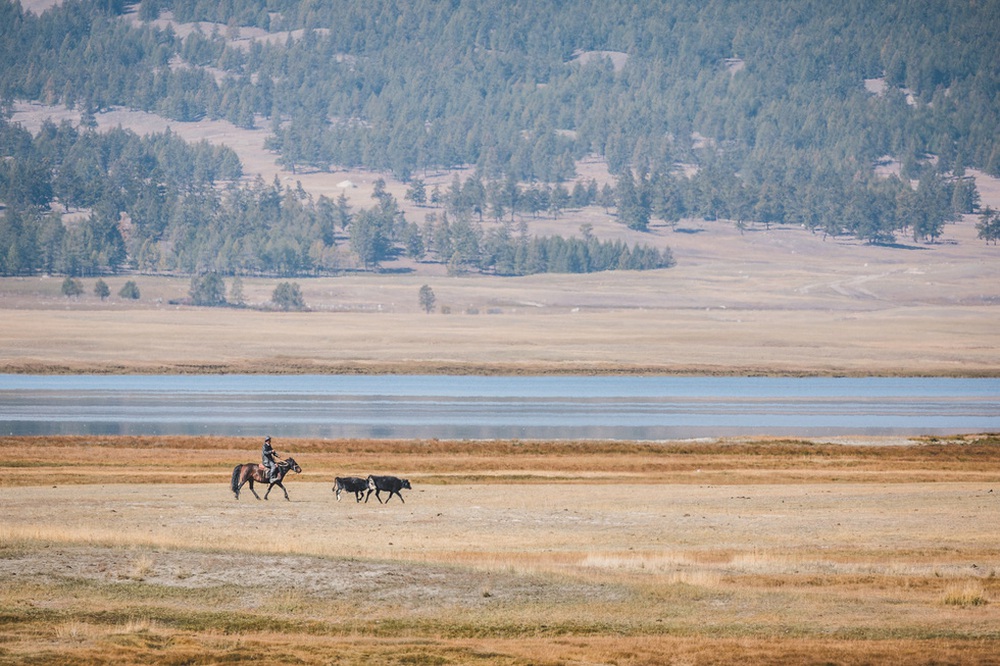 Du khách Việt theo chân người du mục trên thảo nguyên Mông Cổ - Ảnh 26.