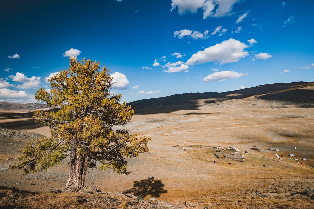 Du khách Việt theo chân người du mục trên thảo nguyên Mông Cổ - Ảnh 27.