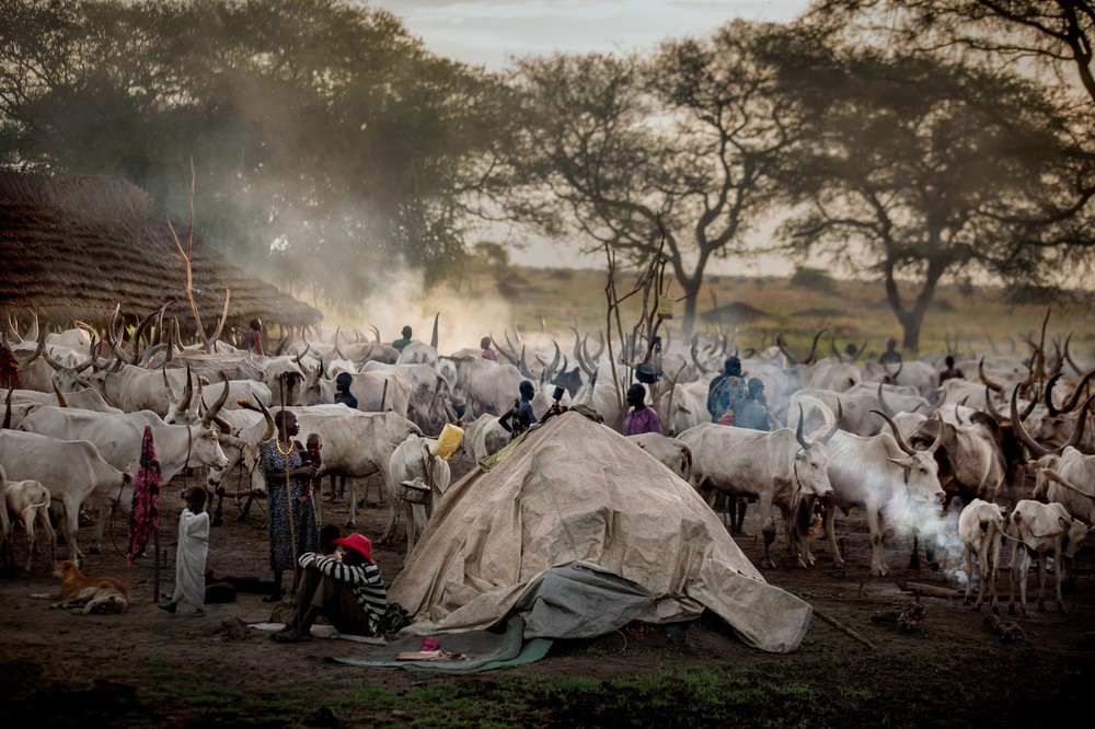Bộ tộc Dinka của Nam Sudan: Những người cao nhất ở châu Phi - Ảnh 7.