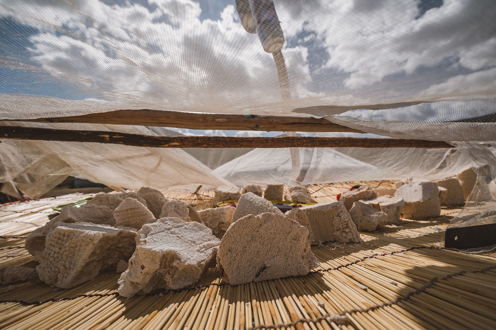 Du khách Việt theo chân người du mục trên thảo nguyên Mông Cổ - Ảnh 6.