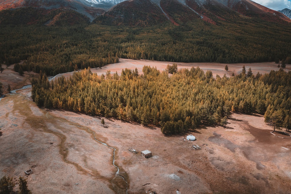 Du khách Việt theo chân người du mục trên thảo nguyên Mông Cổ - Ảnh 7.