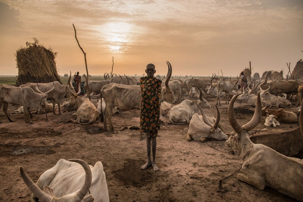 Bộ tộc Dinka của Nam Sudan: Những người cao nhất ở châu Phi - Ảnh 5.