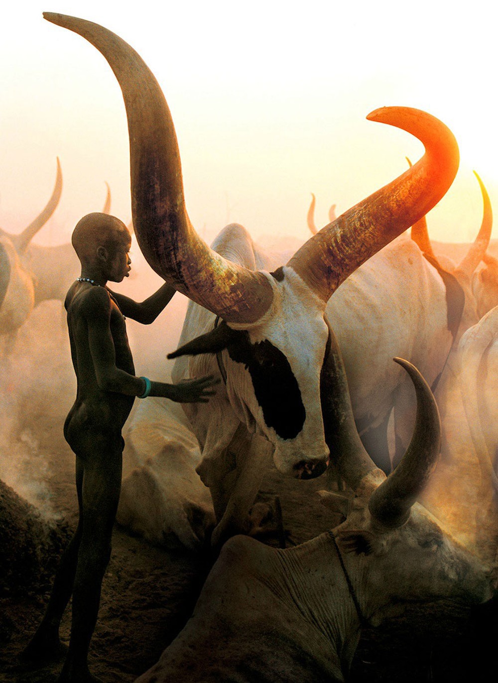 Bộ tộc Dinka của Nam Sudan: Những người cao nhất ở châu Phi