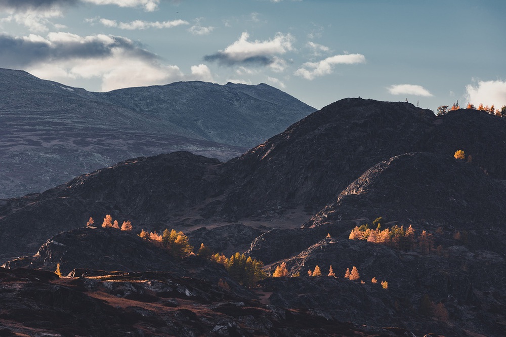 Du khách Việt theo chân người du mục trên thảo nguyên Mông Cổ - Ảnh 9.