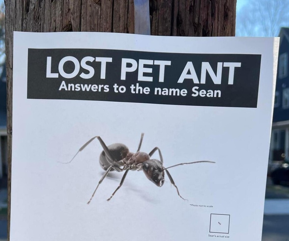 Những khoảnh khắc đời thường c&oacute; thể g&acirc;y cười hơn cả xem phim h&agrave;i - Ảnh 1.