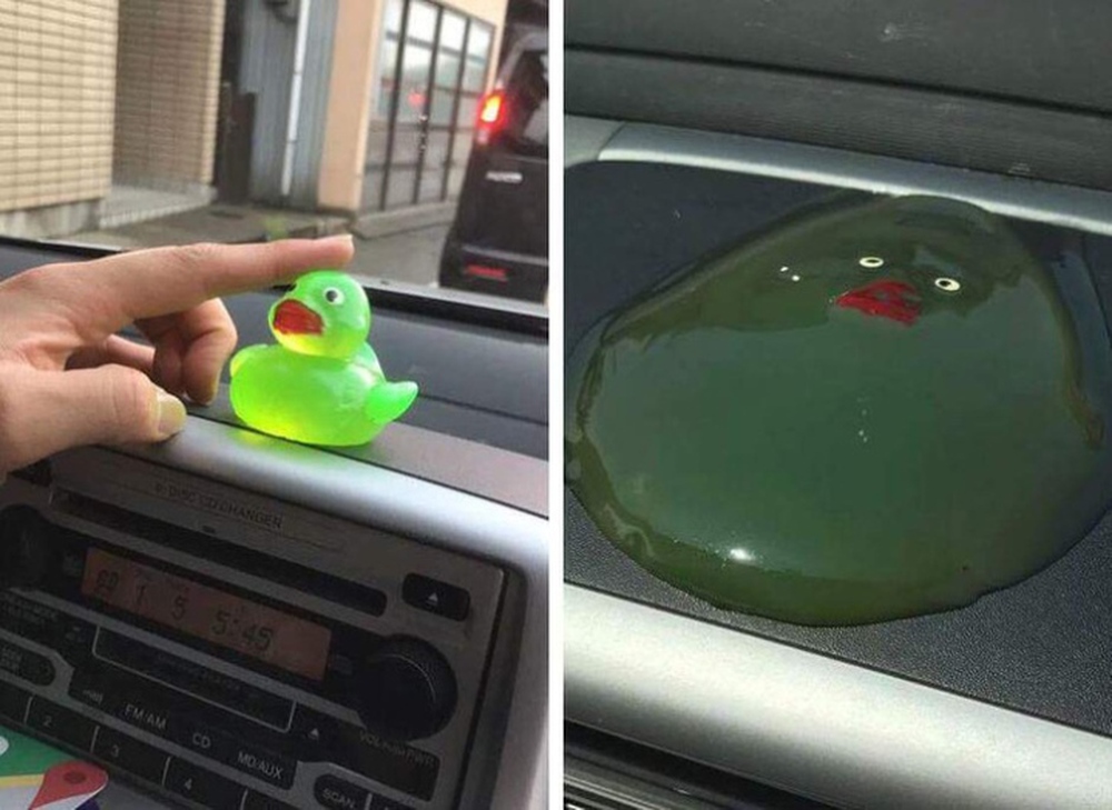 Những khoảnh khắc đời thường c&oacute; thể g&acirc;y cười hơn cả xem phim h&agrave;i - Ảnh 4.