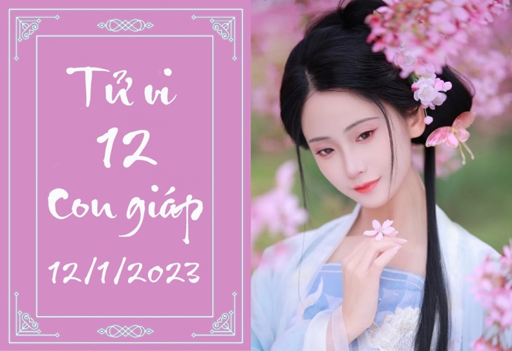 Tử vi vui 12 con giáp hôm nay thứ Năm ngày 12/1: Mùi khởi sắc, Dậu chớ cả tin - Ảnh 1.