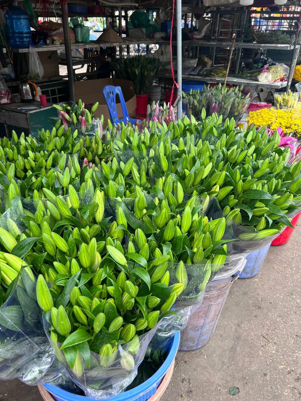 Mách bạn bí kíp mua hoa chợ Quảng Bá giá rẻ mà vẫn đẹp - Ảnh 16.