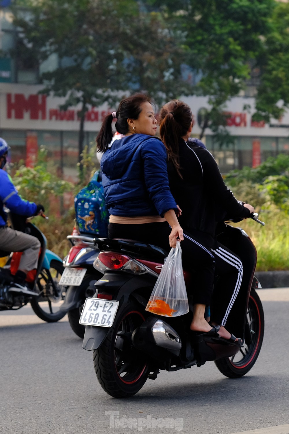 Cá chép vàng bị vây bởi bát hương, lọ hoa sau khi được thả ngày ông Công ông Táo - Ảnh 19.