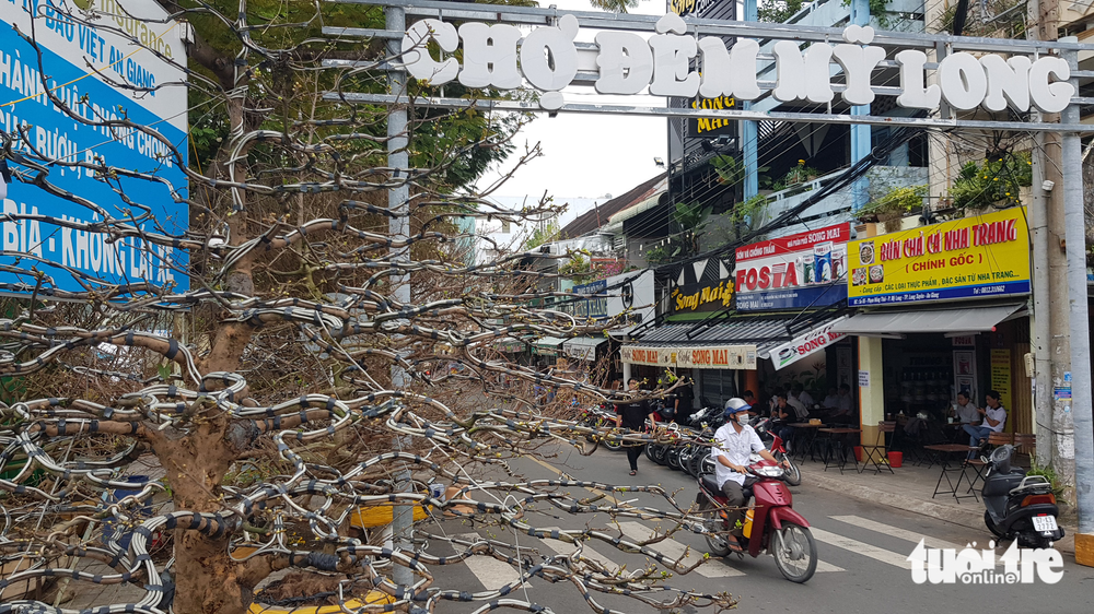 Xôn xao cây mai vàng ‘hét giá’ 6,8 tỉ đồng tại chợ hoa xuân - Ảnh 5.