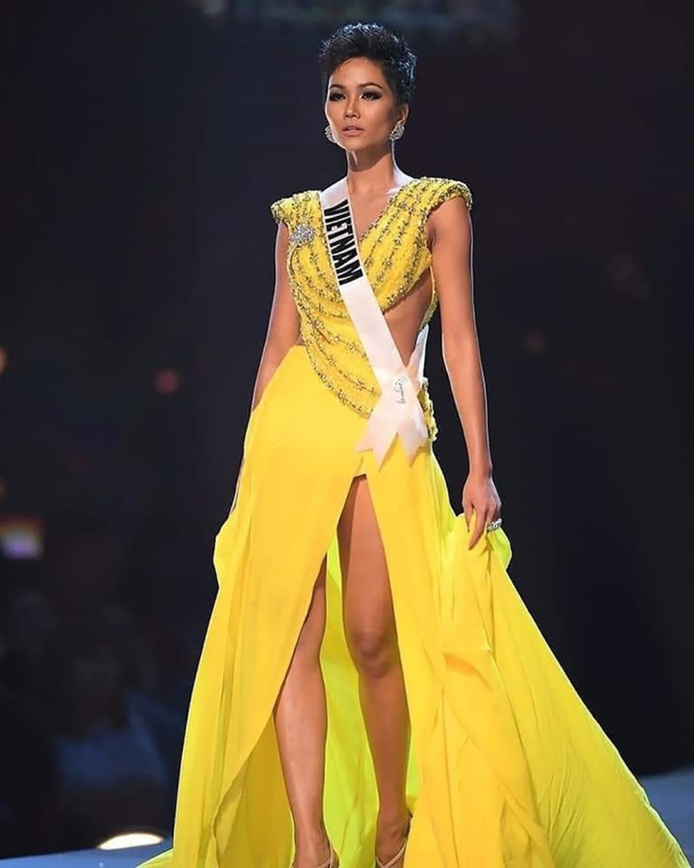 Những mỹ nhân Việt gây tiếc nuối khi trắng tay tại Miss Universe - Ảnh 10.