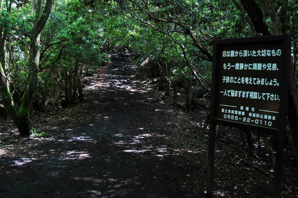Aokigahara: Khu rừng tự sát, bí ẩn bậc nhất của Nhật Bản - Ảnh 5.