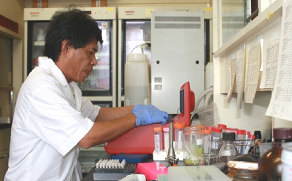 Nhà khoa học Việt tìm ra hoạt chất kháng virus từ rong đỏ