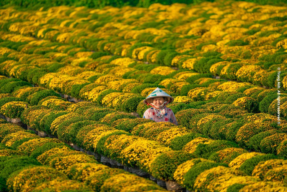 Gợi ý 4 tour du lịch ở miền Trung, miền Nam dành cho các gia đình nghỉ ngơi cùng nhau nhân dịp năm mới - Ảnh 78.