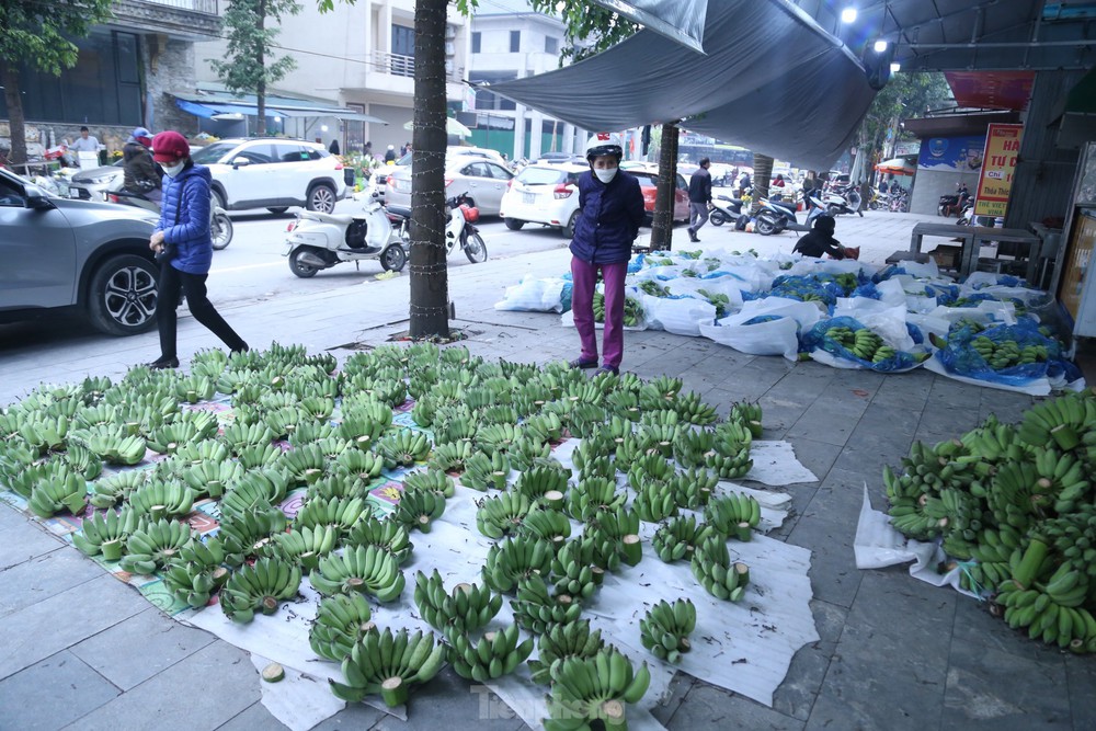 400.000 đồng/nải chuối xanh Tết, tiểu thương đếm quả lấy tiền - Ảnh 1.