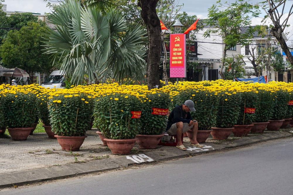 Chợ hoa xuân hạ giá rẻ như cho vẫn ế: “Xin đừng chờ tới tối 30 Tết mới mua hoa…” - Ảnh 2.