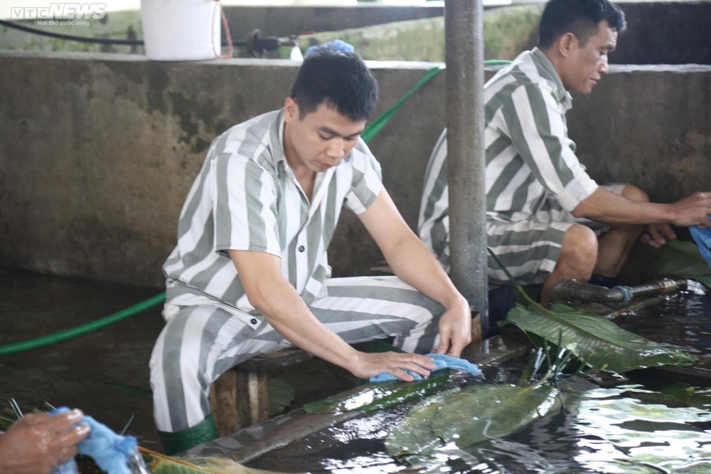 Mùa xuân sau cánh cửa trại giam Yên Hạ - Ảnh 4.