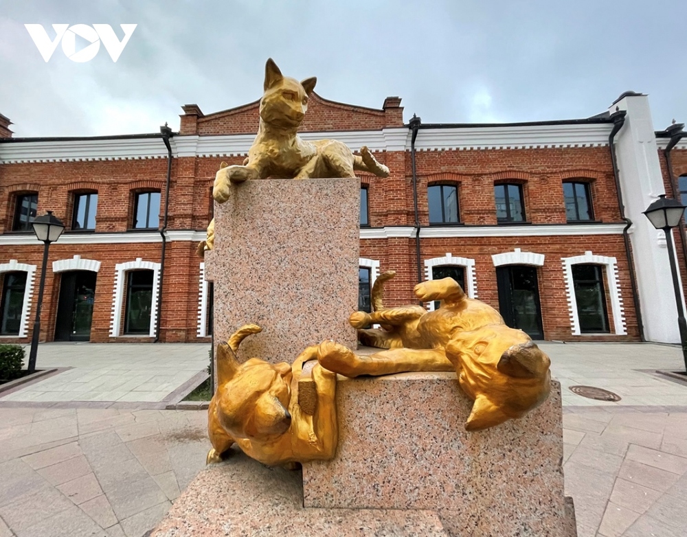 Độc đáo quảng trường mèo Siberia ở thành phố Tuymen-Nga - Ảnh 5.