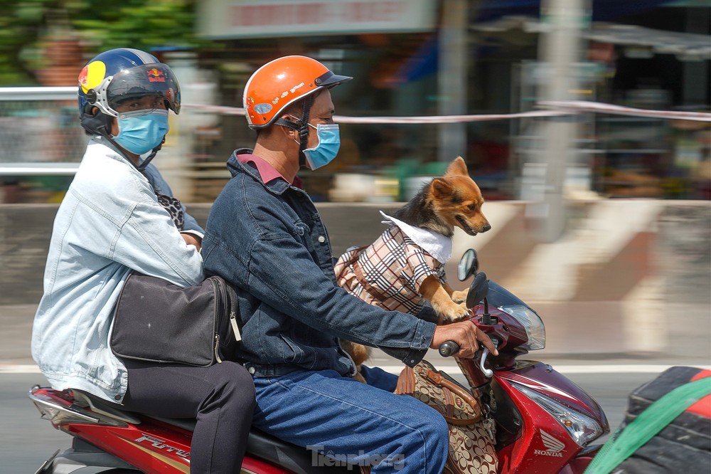 Mùng Bốn Tết, người dân miền Tây lỉnh kỉnh đồ đạc quay lại TPHCM - Ảnh 7.