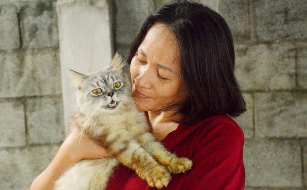 “Người mẹ” của hàng trăm bé mèo
