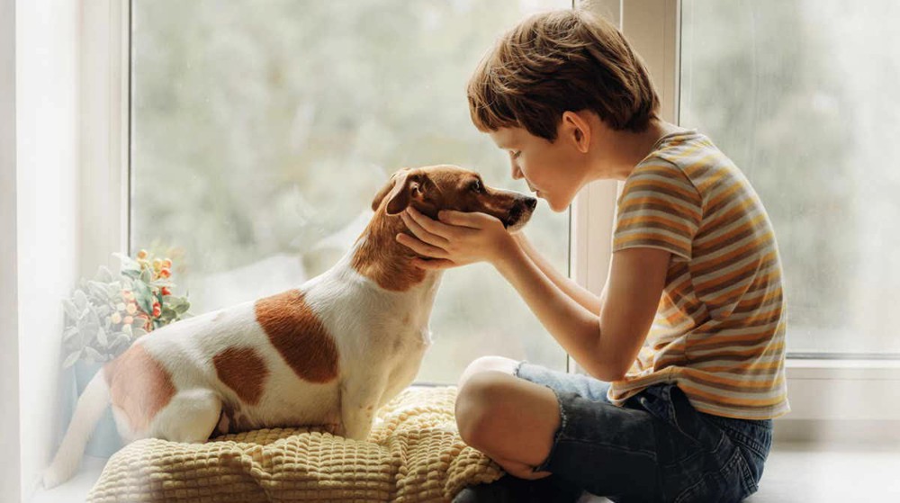  Khi trẻ em hành hạ động vật: Biểu hiện tâm lý cần quan tâm nhưng đa phần bị phụ huynh bỏ qua  - Ảnh 5.