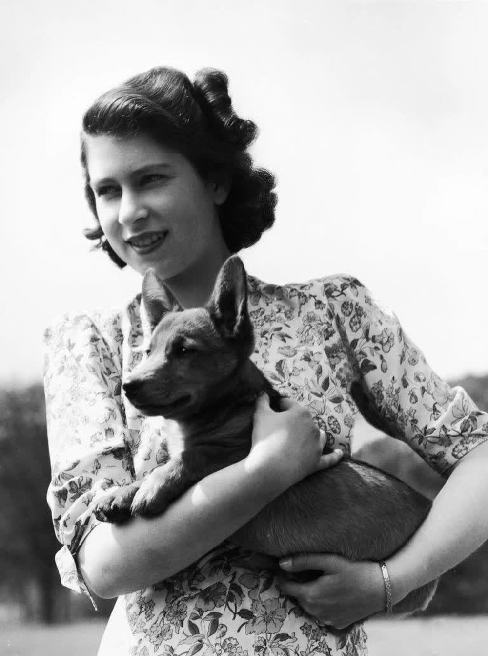Bức thư đầy cảm động của Nữ vương gửi bác sĩ thú y chứng minh tình yêu vô bờ mà bà dành cho các chú cún - Ảnh 2.