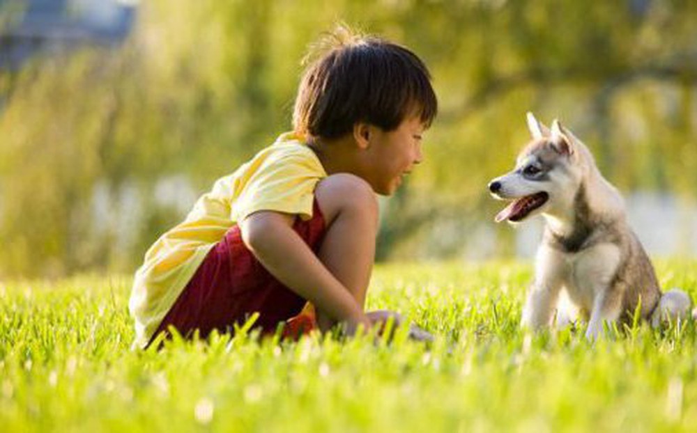 'Mẹ ơi, con nhớ mèo' - cách đơn giản nhất để giáo dục nên một đứa trẻ nhân từ là biết yêu thương động vật