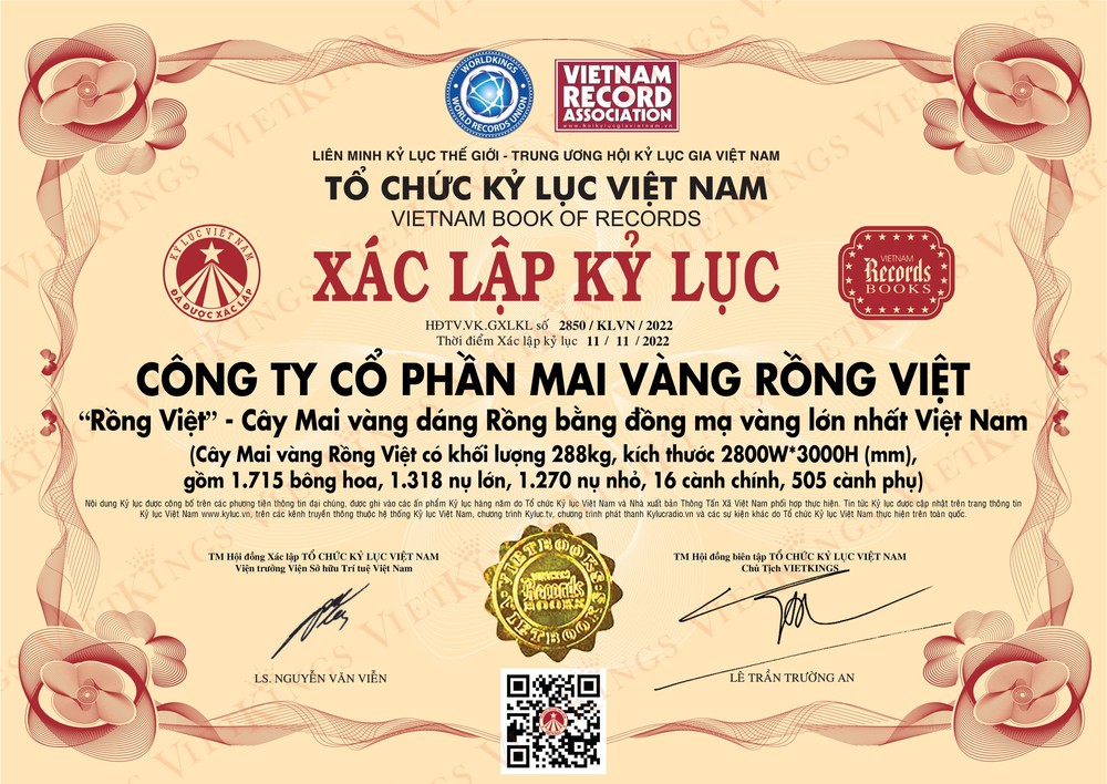  Chủ nhân 2 cây mai mạ vàng trị giá 11 tỷ đồng, vừa xác lập kỷ lục Việt Nam: Tôi hy vọng sẽ góp phần tôn vinh giá trị truyền thống ngày Tết của người Việt - Ảnh 6.