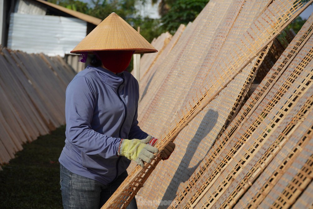 Tất bật ngày đêm làm bánh đa nem vụ Tết, kiếm tiền triệu mỗi ngày - Ảnh 5.