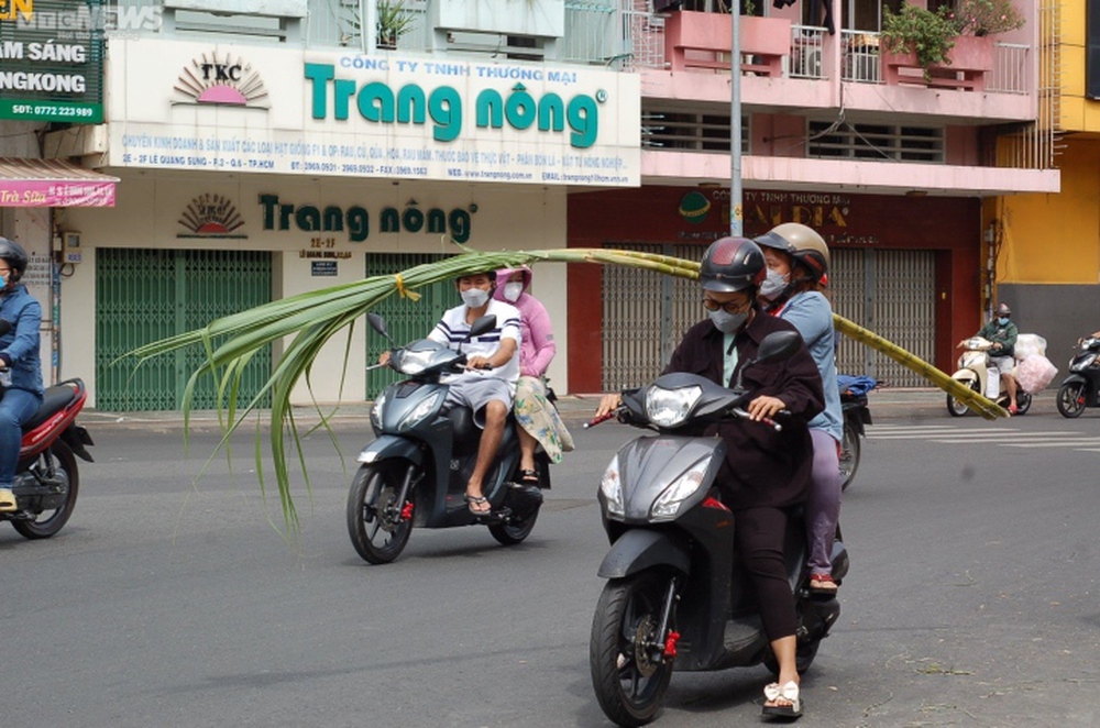 TP.HCM: Mía thân vàng đắt khách ngày cúng vía Ngọc Hoàng - Ảnh 9.