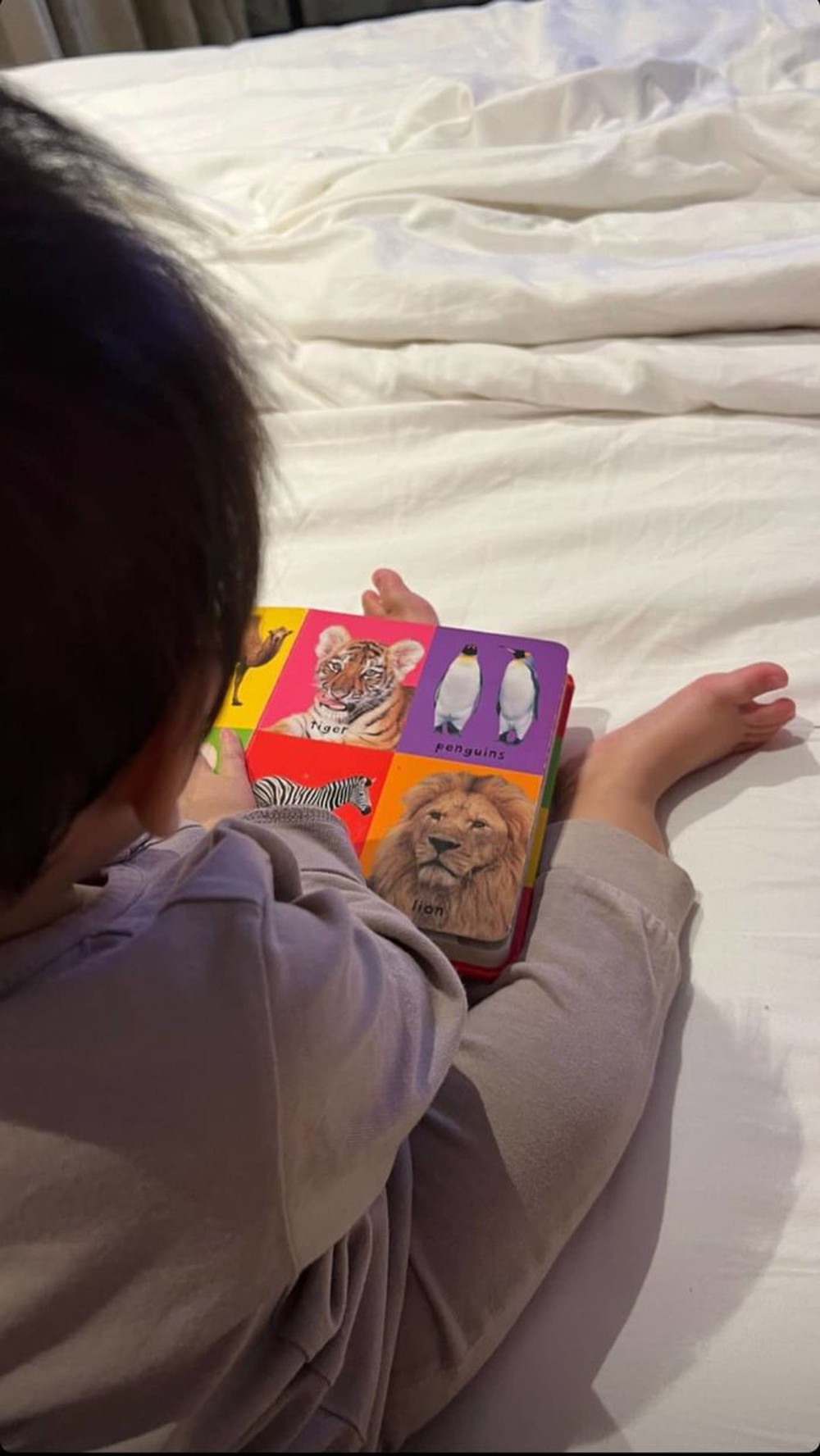Con trai 7 tuổi của Hà Tăng đọc cuốn sách tiếng Anh dày cộp, cách đọc sách khiến mẹ ngỡ ngàng - Ảnh 6.