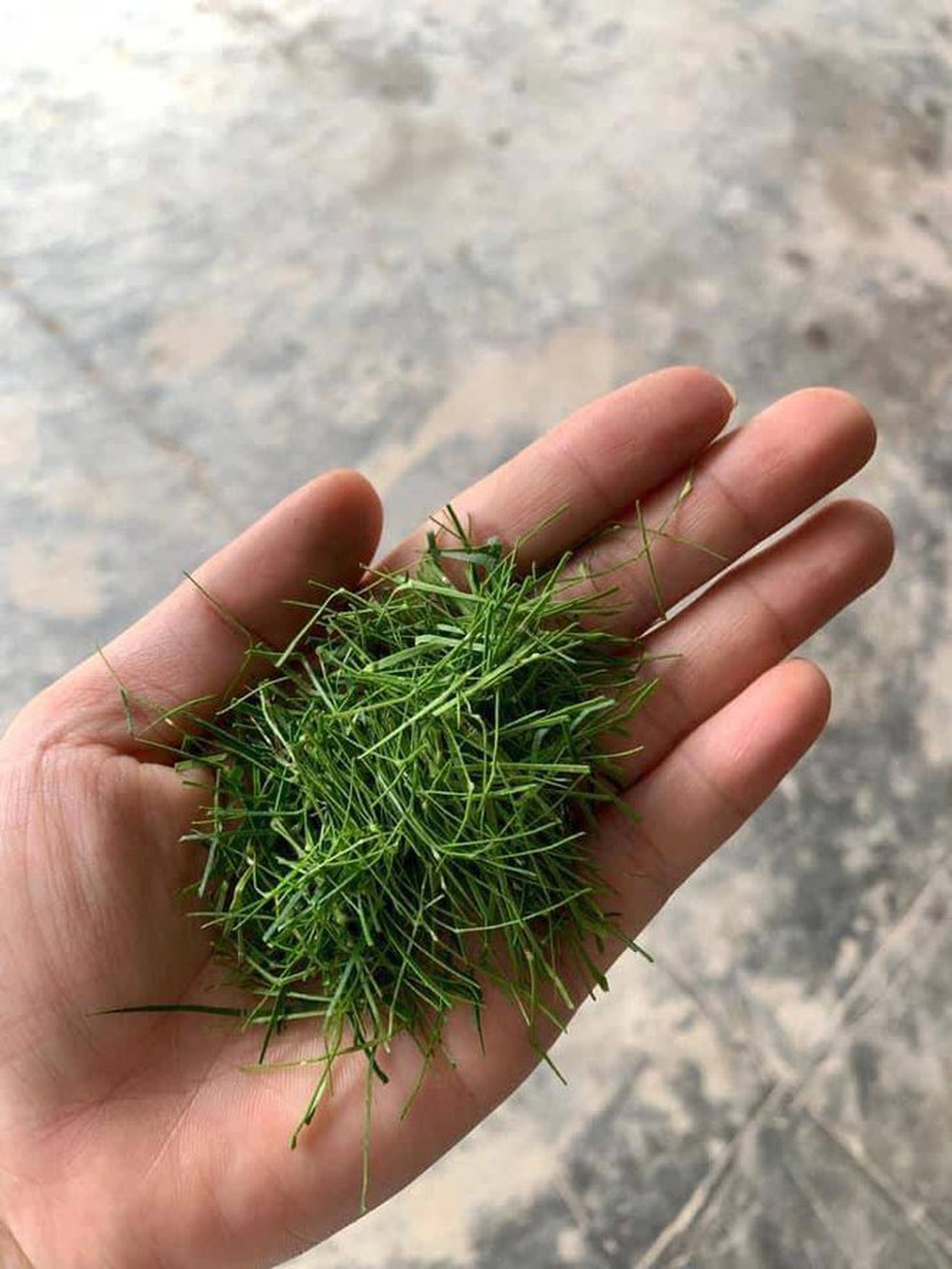 Mở màn bí kíp dịp Tết đến: Trend thái lá chanh sợi chỉ mỏng đến nỗi xỏ được cả kim khiến dân mạng trầm trồ