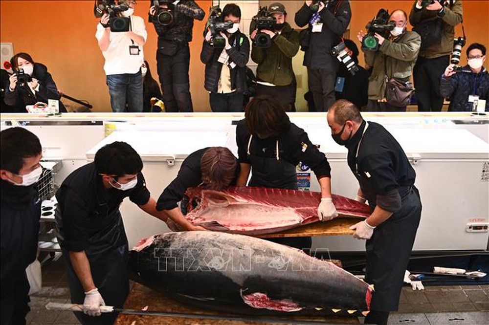 Con cá ngừ nặng 212 kg được bán với giá 271.500 USD - Ảnh 1.