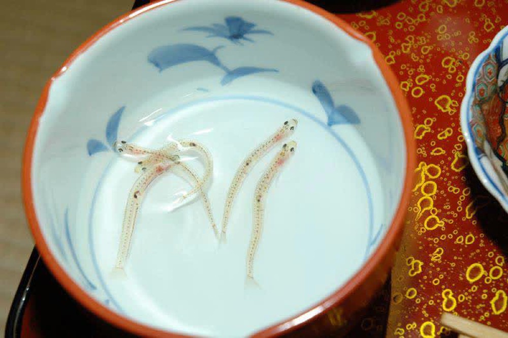 Dân mạng sốc với món đồ uống từ cá sống của Nhật Bản: Người nghe tên đã không dám thử nhưng có người lại… thích mê - Ảnh 8.