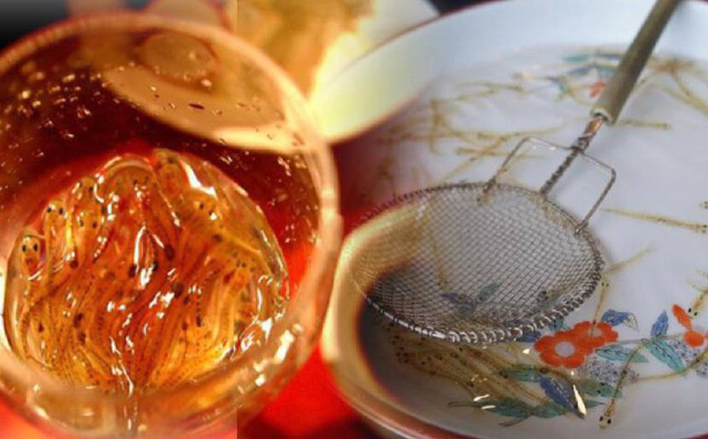 Dân mạng 'sốc' với món đồ uống từ cá sống của Nhật Bản: Người nghe tên đã không dám thử nhưng có người lại… thích mê